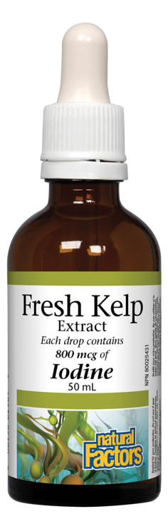 Fresh Kelp Extract