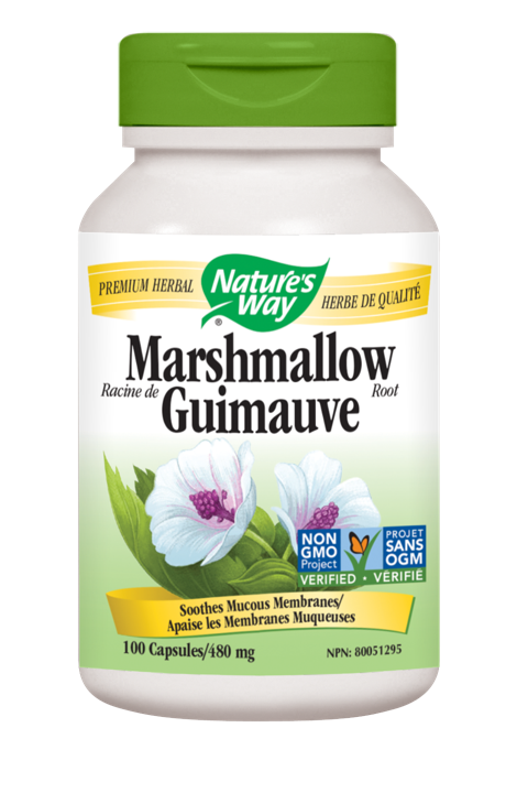 Marshmallow Root - 480 mg
