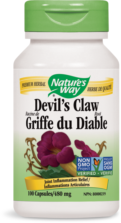 Devil's Claw Root - 480 mg