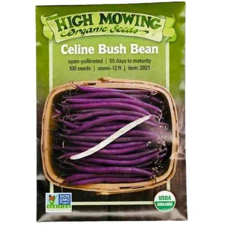 Celine Bush Bean - 100 seeds