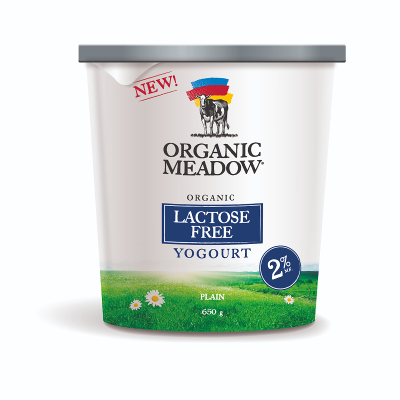 Yogurt - Lactose Free Plain 2%