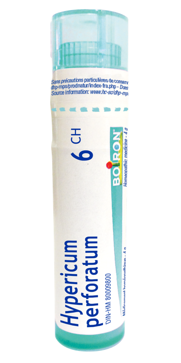 Hypericum Perforatum - 6 CH