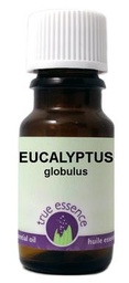 [10017996] Eucalyptus Globulus Oil - 12 ml