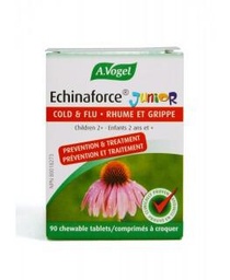 [10006011] Echinaforce Junior