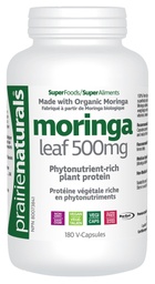[11069211] Organic Moringa Leaf