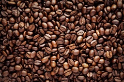 [11083869] Full Organic Coffee Bulk