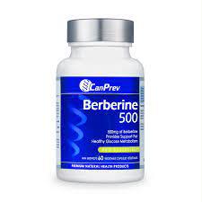 [11099530] Berberine