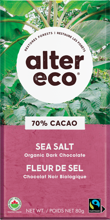 Chocolate Bar - Sea Salt - 80 g
