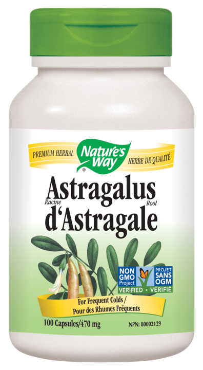 Astragalus Root - 470 mg