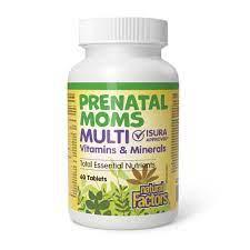 Healthy Mom Prenatal Multi