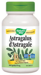 [10004862] Astragalus Root - 470 mg