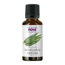 [11091690] Eucalyptus Radiata Oil (Eucalyptus radiata)30mL